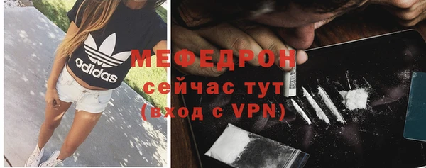 прущие грибы Бронницы
