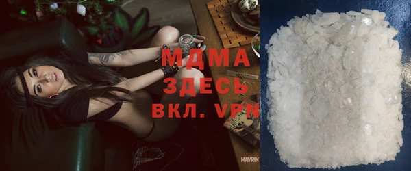 прущие грибы Бронницы