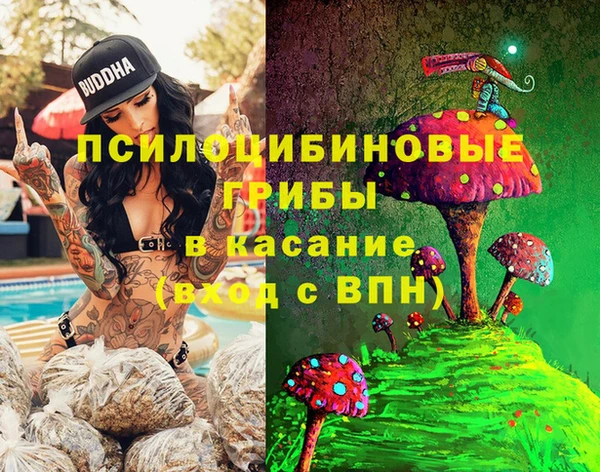 прущие крисы Верхний Тагил