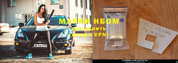 прущие грибы Бронницы