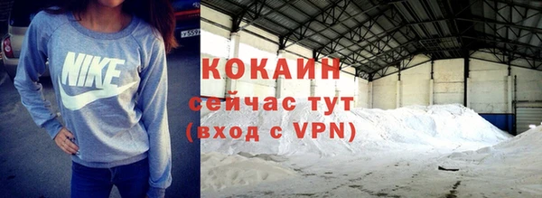 прущие грибы Бронницы